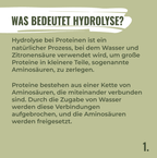 Erbsenprotein Ultra 90%