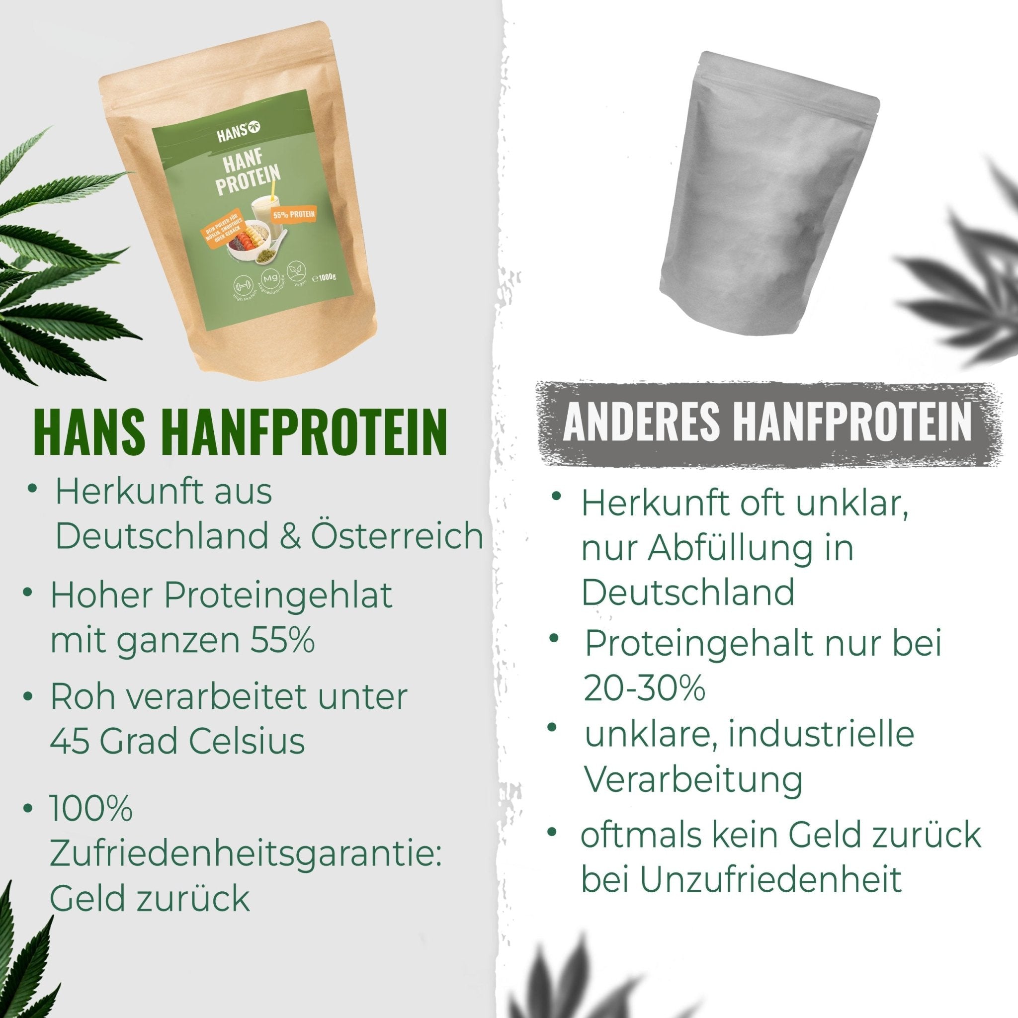 Hanfprotein